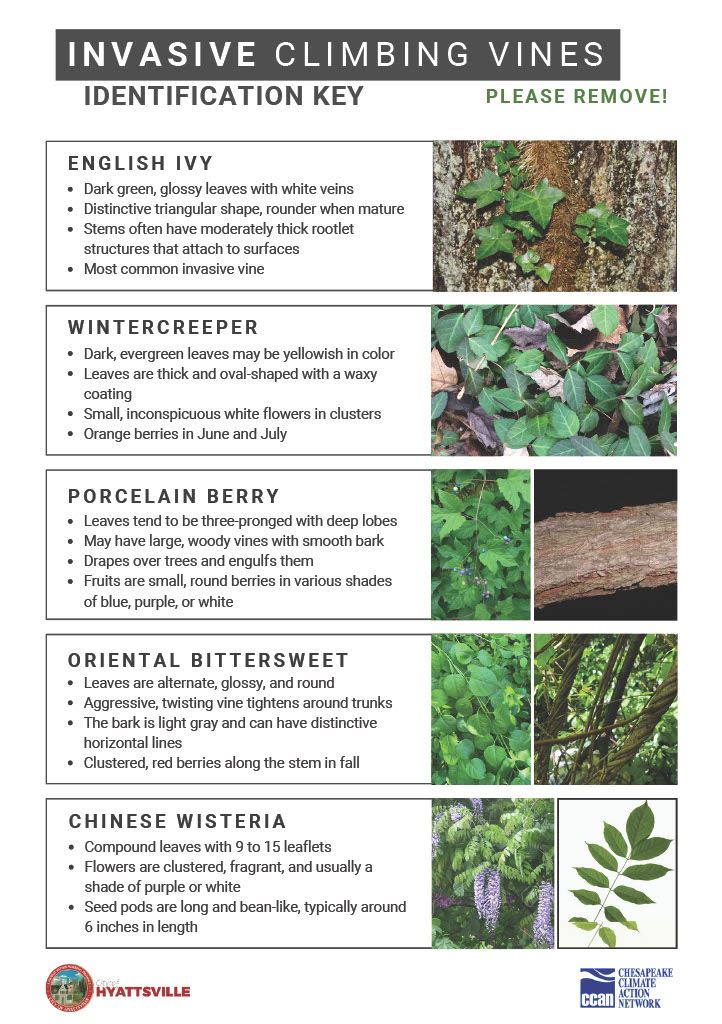 1750687549977-bf888648-6072-4e1c-9009-782d970b3d40_1 1750687549977-bf888648-6072-4e1c-9009-782d970b3d40_1