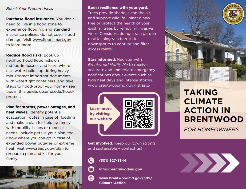 Screenshot 2025-06-23 103317 Screenshot 2025-06-23 103317